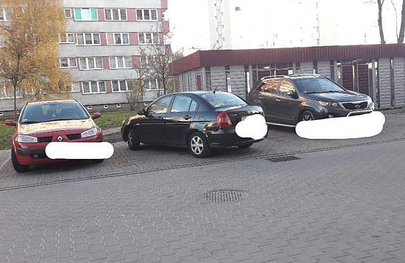Czytelnik: Geniuszka parkowania