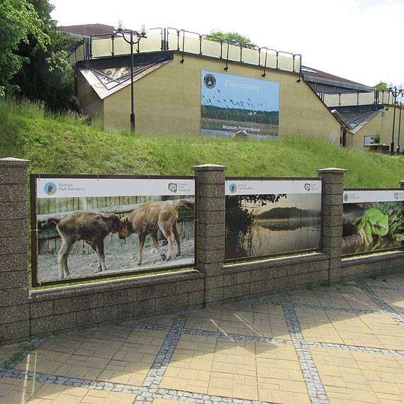 Muzeum Przyrodnicze Woliskiego Parku Narodowego jest ju czynne!