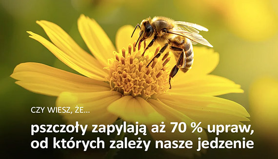 Bezpieczny transport pszczół z Pocztą Polską