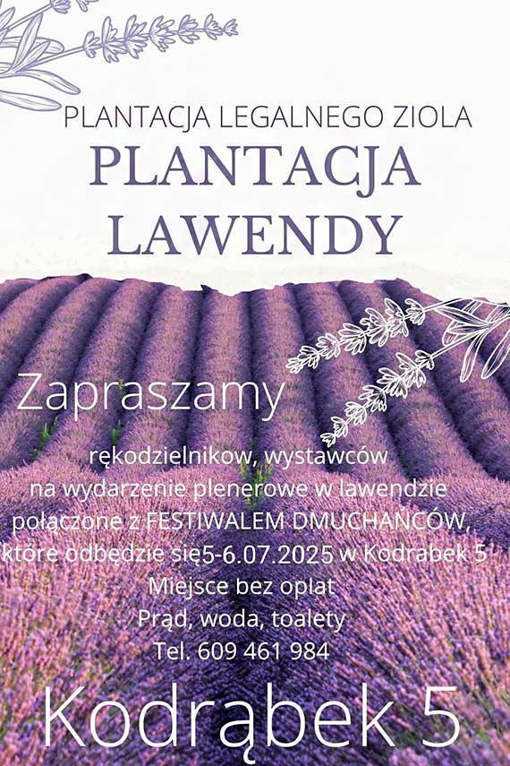 Lawendowe święto w Kodrąbku: aromatyczne Dni Lawendy już w ten weekend