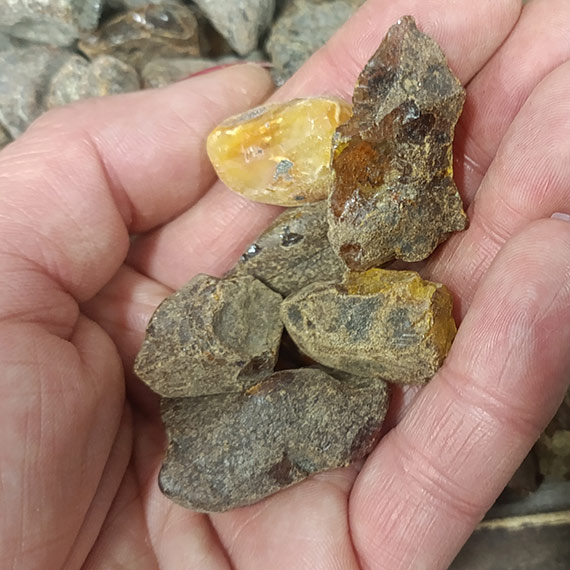 Bursztynowe warsztaty w Muzeum Rybołówstwa Morskiego