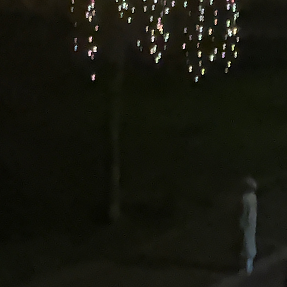 Nocne, nietypowe zachowanie kobiety przy ul. Konstytucji 3 Maja. �wiadek: „Obejmowa�a i ca�owa�a drzewo przez kilka minut”