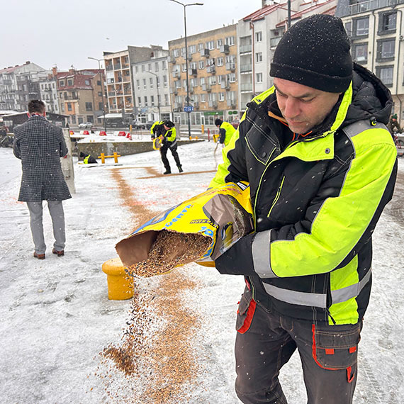 Sypniemy ziarnem, czyli z pomoc� ptakom