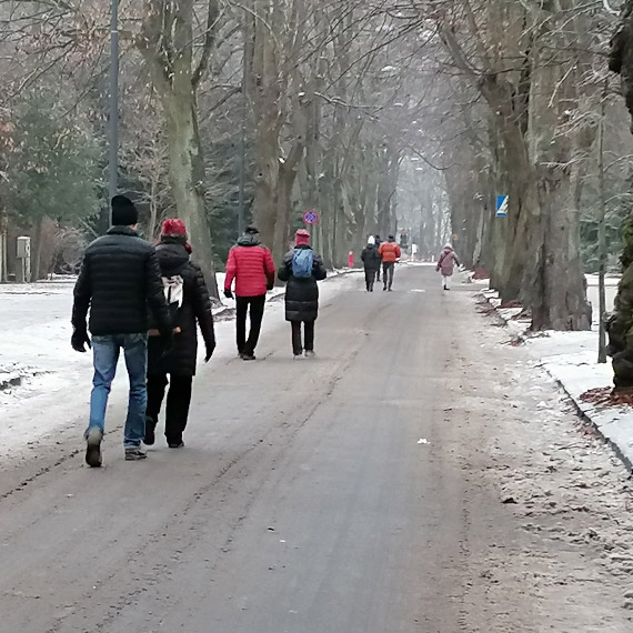 Chodniki jak lodowisko. Piesi na Pi�sudskiego szli jezdni�