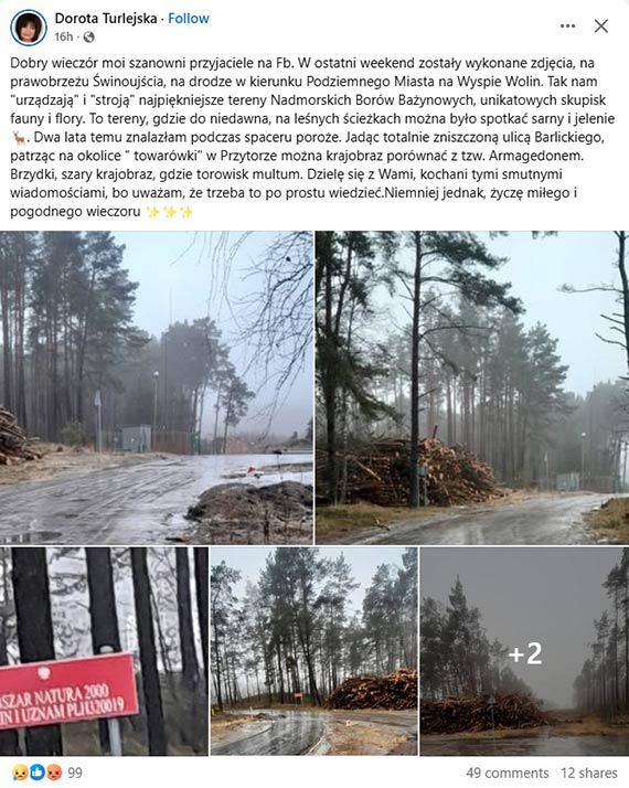 Mieszkanka Warszowa pokazuje, jak znika las. „Krajobraz jak po Armagedonie”