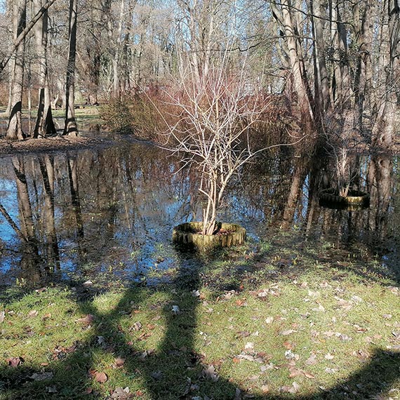 Park Zdrojowy zamienia si� w bagienko. Zalane nawet nowe nasadzenia