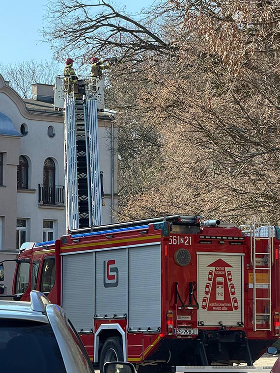 Niebezpieczny konar nad chodnikiem