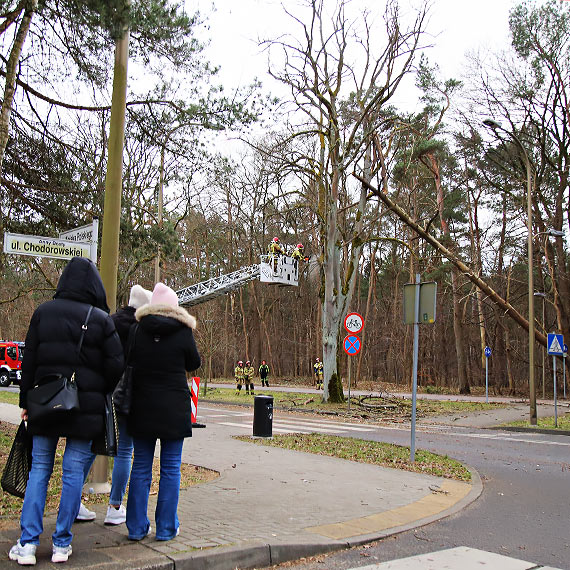 Silny wiatr w �winouj�ciu. Stra�acy dwukrotnie usuwali zagro�enia na drogach