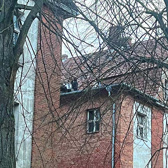 Dzieci na dachu opuszczonego koszarowca. Mieszka�cy alarmuj�: „Czy musi doj�� do tragedii?”