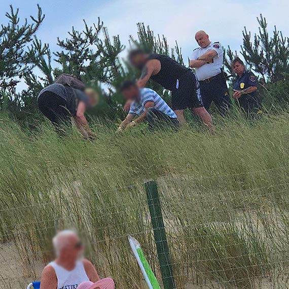 Grillowali i biwakowali na wydmach. Straż Miejska interweniowała przy wejściu od ul. Orkana