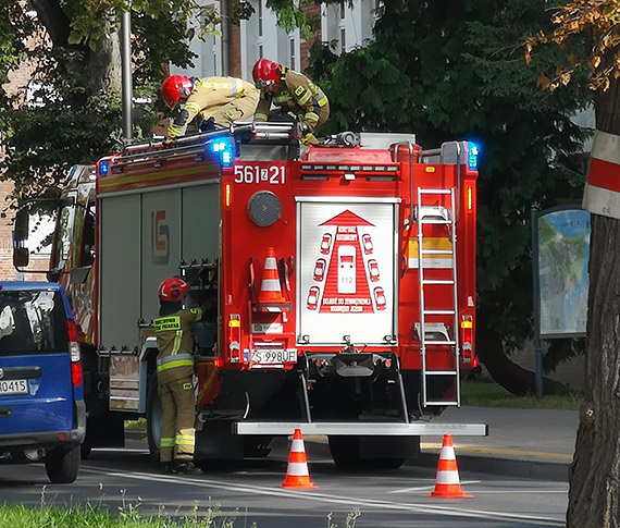 Osy w Urz�dzie Pracy! Szuka�y etatu czy dotacji? Na miejsce przyjechali stra�acy